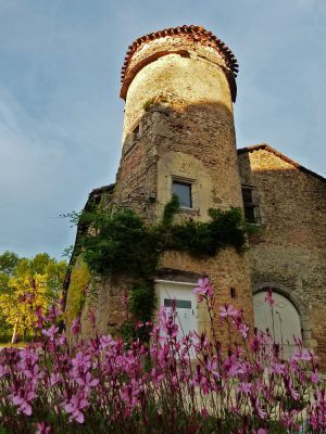 MANIBAN CHAIS FLEURES COUCHE DE SOLEIL OCTOBRE 2015